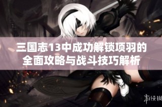 三国志13中成功解锁项羽的全面攻略与战斗技巧解析