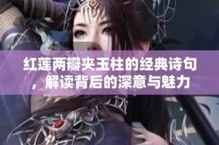 红莲两瓣夹玉柱的经典诗句，解读背后的深意与魅力