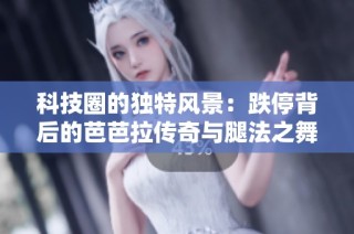 科技圈的独特风景：跌停背后的芭芭拉传奇与腿法之舞