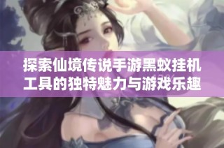 探索仙境传说手游黑蚁挂机工具的独特魅力与游戏乐趣