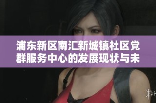 浦东新区南汇新城镇社区党群服务中心的发展现状与未来展望分析