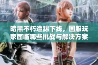 暗黑不朽遭踢下线，国服玩家面临哪些挑战与解决方案