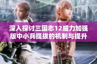 深入探讨三国志12威力加强版中小兵提拔的机制与提升策略