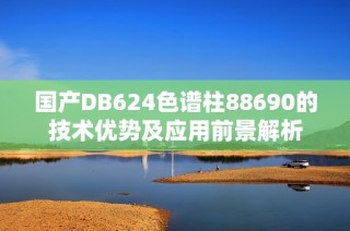 国产DB624色谱柱88690的技术优势及应用前景解析