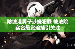 防城港男子涉嫌犯罪 被法院实名悬赏追捕引关注