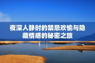 夜深人静时的禁忌欢愉与隐藏情感的秘密之旅