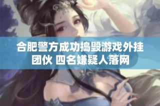 合肥警方成功捣毁游戏外挂团伙 四名嫌疑人落网