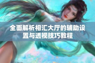 全面解析相汇大厅的辅助设置与透视技巧教程