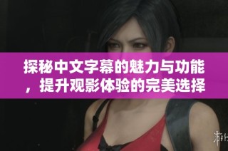 探秘中文字幕的魅力与功能，提升观影体验的完美选择