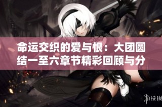 命运交织的爱与恨：大团圆结一至六章节精彩回顾与分析