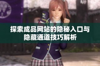 探索成品网站的隐秘入口与隐藏通道技巧解析