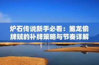 炉石传说新手必看：雏龙偷牌贼的补牌策略与节奏详解