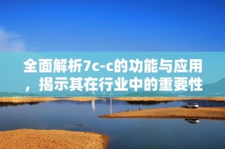 全面解析7c-c的功能与应用，揭示其在行业中的重要性与前景