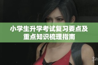 小学生升学考试复习要点及重点知识梳理指南