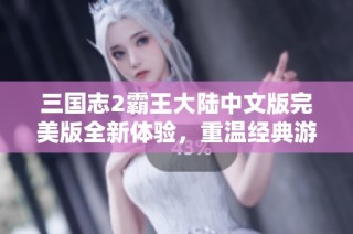 三国志2霸王大陆中文版完美版全新体验，重温经典游戏魅力