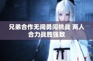 兄弟合作无间勇闯挑战 两人合力战胜强敌