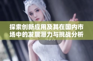 探索创新应用及其在国内市场中的发展潜力与挑战分析