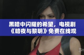 黑暗中闪耀的希望，电视剧《暗夜与黎明》免费在线观看指南