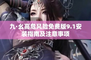 九·幺高危风险免费版9.1安装指南及注意事项