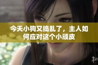 今天小狗又捣乱了，主人如何应对这个小顽皮