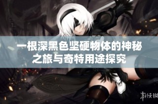 一根深黑色坚硬物体的神秘之旅与奇特用途探究