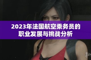 2023年法国航空乘务员的职业发展与挑战分析