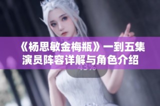 《杨思敏金梅瓶》一到五集演员阵容详解与角色介绍