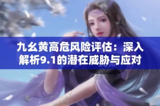 九幺黄高危风险评估：深入解析9.1的潜在威胁与应对策略