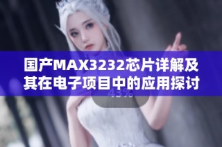 国产MAX3232芯片详解及其在电子项目中的应用探讨
