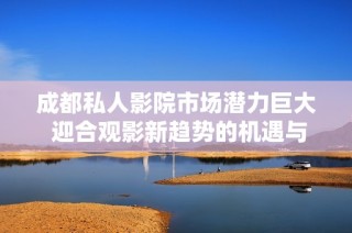 成都私人影院市场潜力巨大 迎合观影新趋势的机遇与挑战
