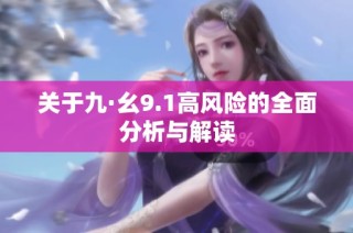 关于九·幺9.1高风险的全面分析与解读