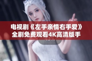 电视剧《左手亲情右手爱》全剧免费观看4K高清版手机播放链接分享