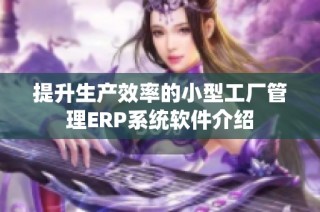 提升生产效率的小型工厂管理ERP系统软件介绍