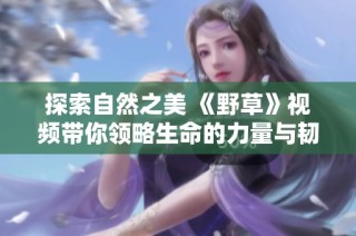 探索自然之美 《野草》视频带你领略生命的力量与韧性