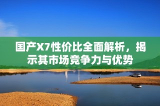 国产X7性价比全面解析，揭示其市场竞争力与优势