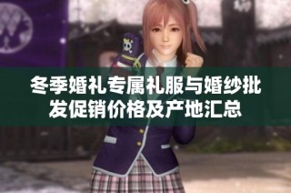 冬季婚礼专属礼服与婚纱批发促销价格及产地汇总