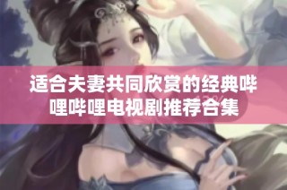 适合夫妻共同欣赏的经典哔哩哔哩电视剧推荐合集