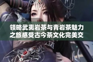 领略武夷岩茶与青岩茶魅力之旅感受古今茶文化完美交融