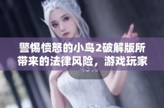 警惕愤怒的小鸟2破解版所带来的法律风险，游戏玩家应增强合规意识与自我保护能力
