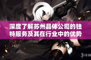 深度了解苏州晶体公司的独特服务及其在行业中的优势与创新举措