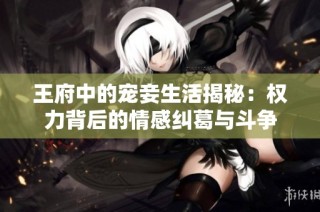 王府中的宠妾生活揭秘：权力背后的情感纠葛与斗争