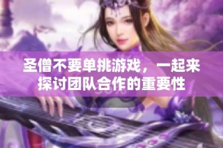 圣僧不要单挑游戏，一起来探讨团队合作的重要性