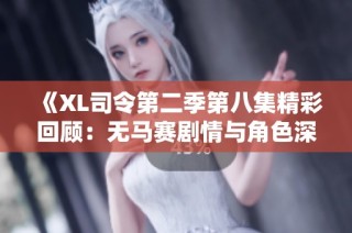《XL司令第二季第八集精彩回顾：无马赛剧情与角色深度解析》