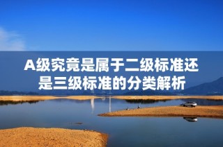 A级究竟是属于二级标准还是三级标准的分类解析