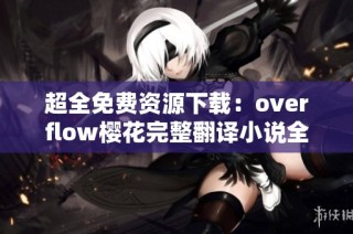 超全免费资源下载：overflow樱花完整翻译小说全集分享