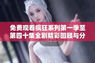 免费观看疯狂系列第一季至第四十集全剧精彩回顾与分析