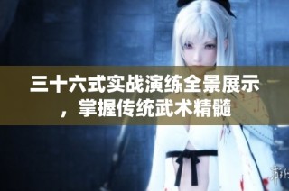 三十六式实战演练全景展示，掌握传统武术精髓