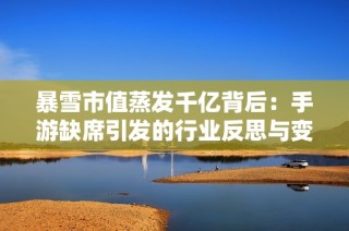 暴雪市值蒸发千亿背后：手游缺席引发的行业反思与变革