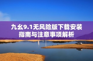 九幺9.1无风险版下载安装指南与注意事项解析