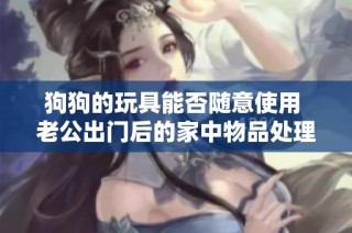狗狗的玩具能否随意使用 老公出门后的家中物品处理技巧